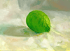 Lime 5"x7"