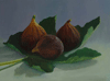 Broun Turkey Figs 5"x7"