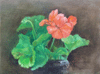 Geranium 6"x8"