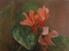 cyclamen 2010 6"x8"