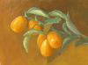 Kumquats 6"x8"