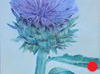 Artichoke Flower 5"x7"