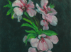 Almon Blossom 5"x7"