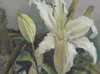 White Lilies 6"x8"