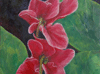 Cyclamen #3 5"x7"